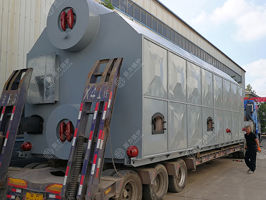 生物质锅炉厂家新力锅炉