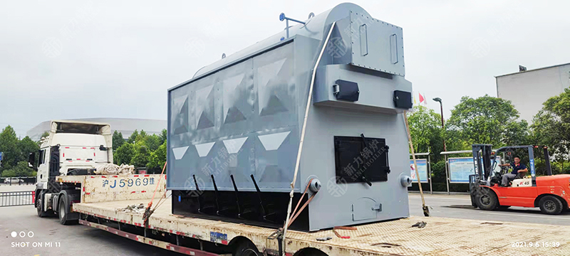 新力锅炉生物质锅炉