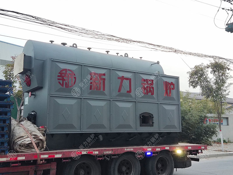 迈向可持续未来：新力生物质锅炉的环保魅力