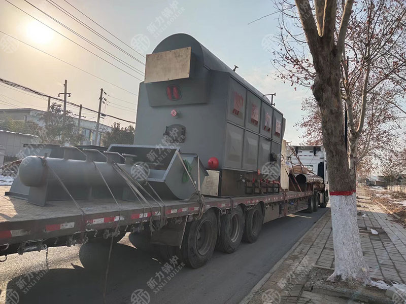新力DZL生物质热水锅炉：的绿色供暖新方案
