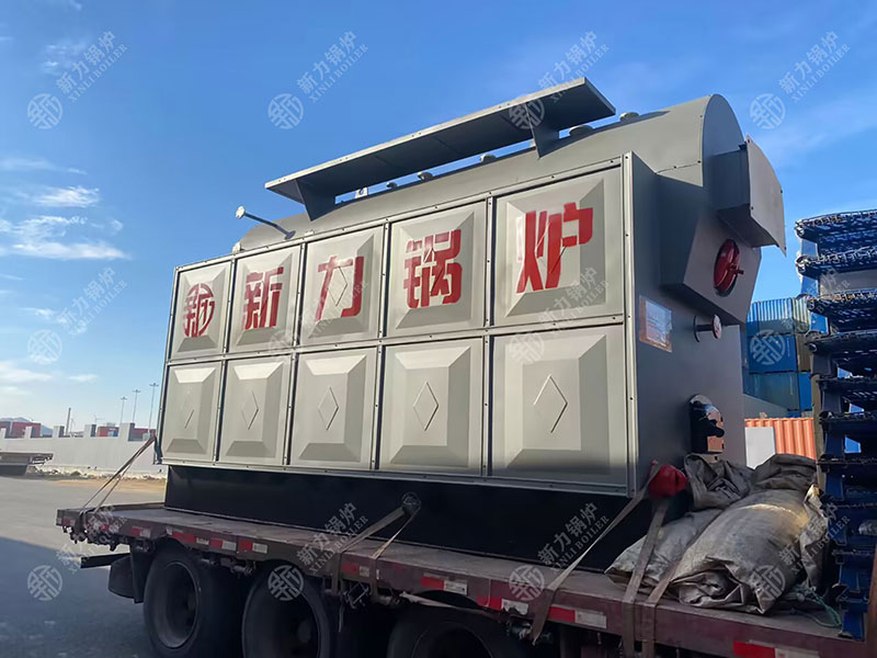 从蒸汽到能源：DZH生物质蒸汽锅炉的经济效益分析