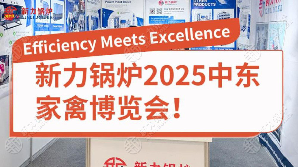 新力锅炉2025中东家禽博览会!
